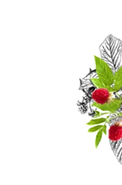 szakasz menstruáció