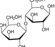 fermentare