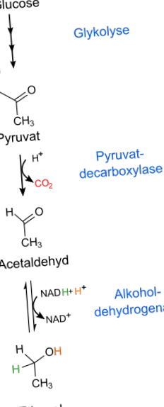 puterea