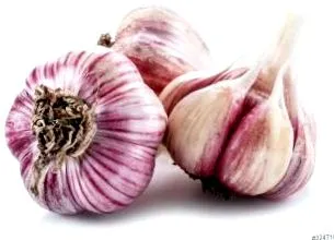noului