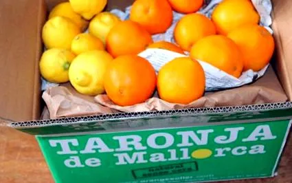 răcoritoare