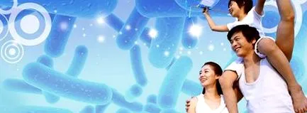 lactobacillus