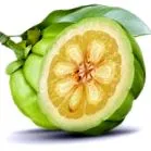 cambogia