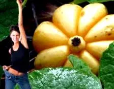 garcinia