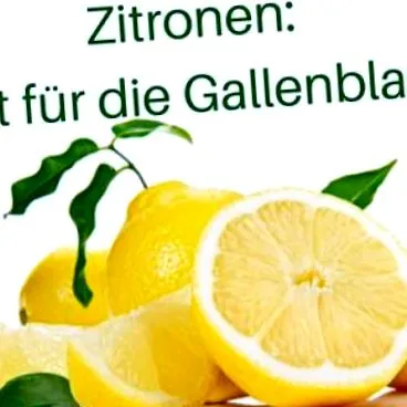 tippek