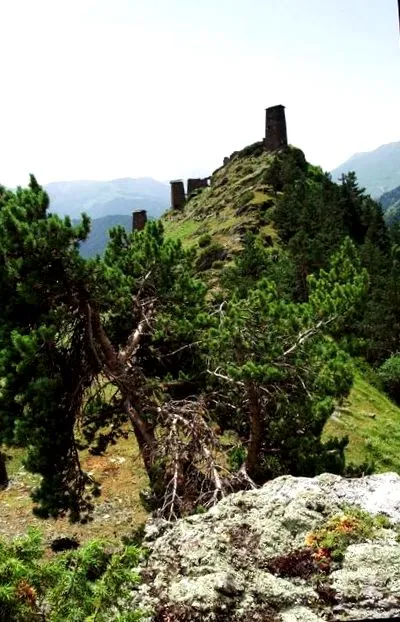 2005