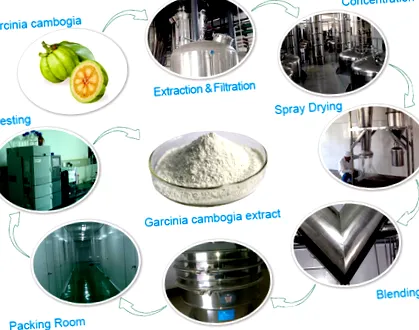 hydroxycitric hydroxycitric