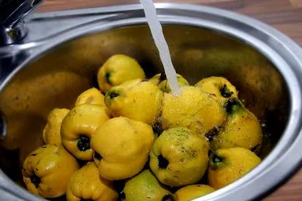 descărcări