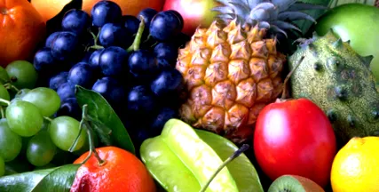alimentația