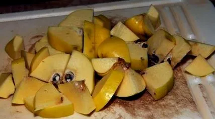 descărcări