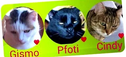 scăderea