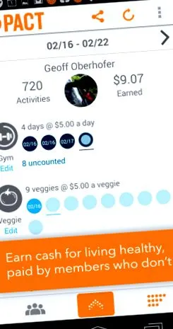 amelyeket