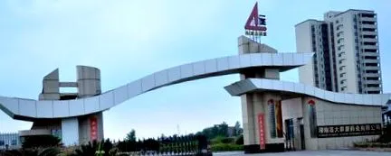 rădăcină