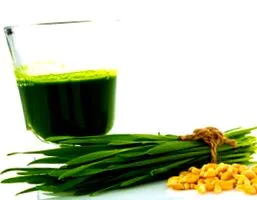verde verde
