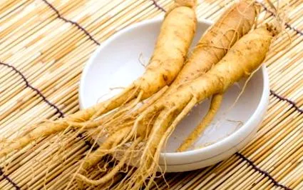 ginseng