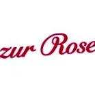 magazinul online