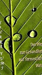 vindecare