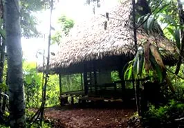 otthona