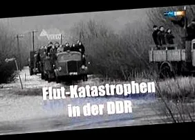 töltse palesztin