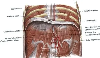 hiatal tünetek