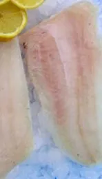 fagyasztott