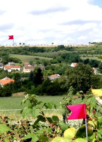 kirándulok frankkel