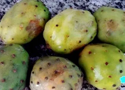 tunos tunos