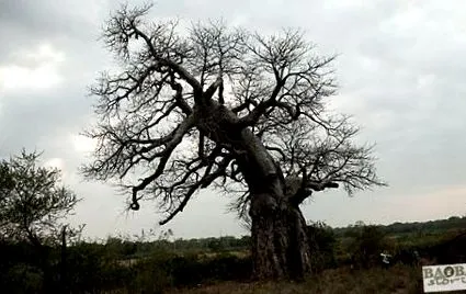 Makuleke Dél-Afrika