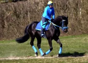 rămân jockeys