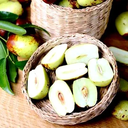 fruit