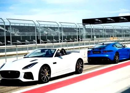 jaguar