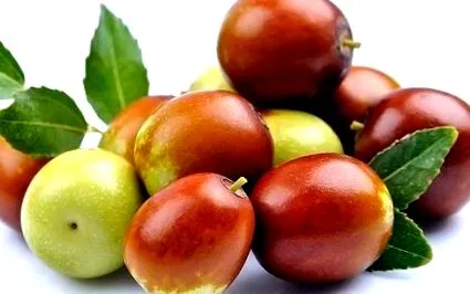 fruit