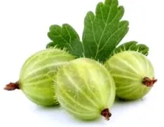 coacăze