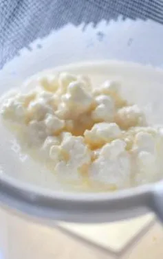 сами