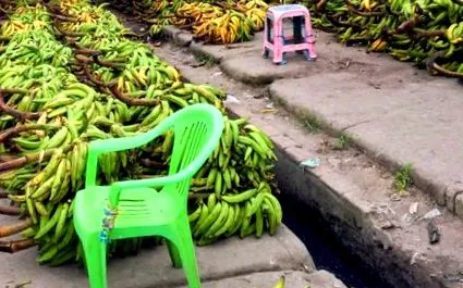ayahuasca diéta
