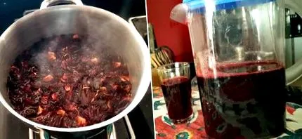 karkadeh mashi