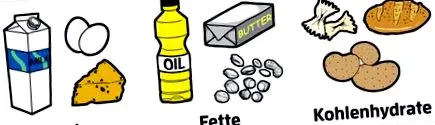 catabolic