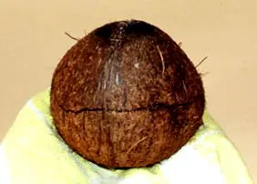 nyitott