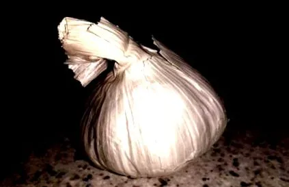 legegészségesebb