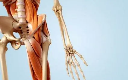 kinemedic
