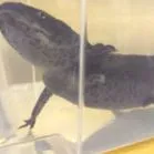 webseite