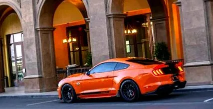 shelby