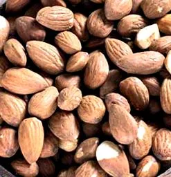 mandula