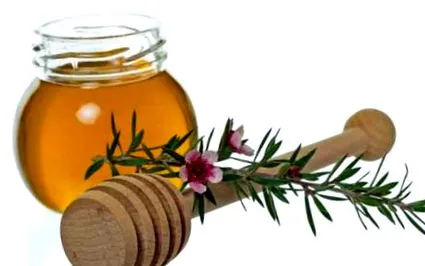manuka