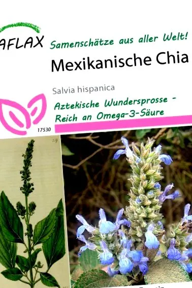 mexikói