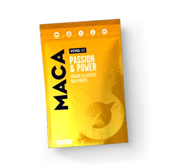 mușchii construiți