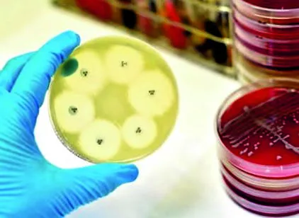 staphylococcus