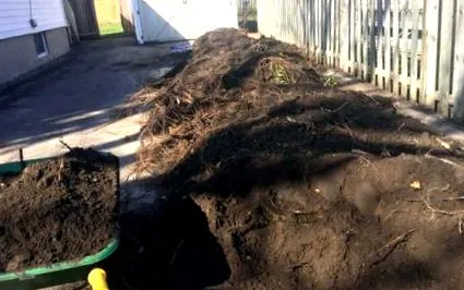solul vegetal