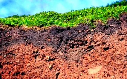 topsoil