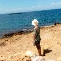 ingyenes